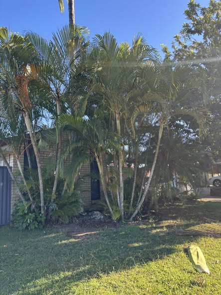 Backyard cleared and ready for fresh turf
